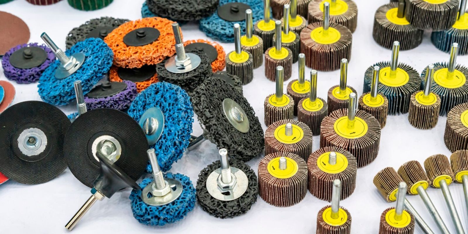 Süntárcsa és sünkefe – Mit kell tudni róluk?